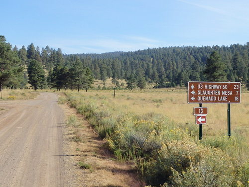 GDMBR: US Highway-60 is 23 miles north and we're going straight/north.